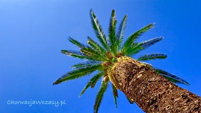 Chorwacja wczasy autokarem z Warszawy