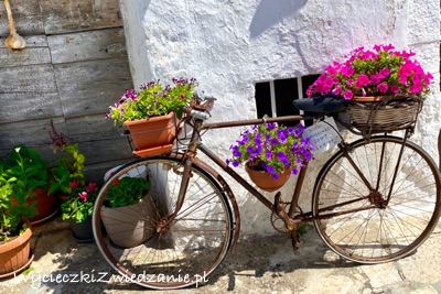 Wycieczki objazxdowe autokarem, samolotem z Wrocławia